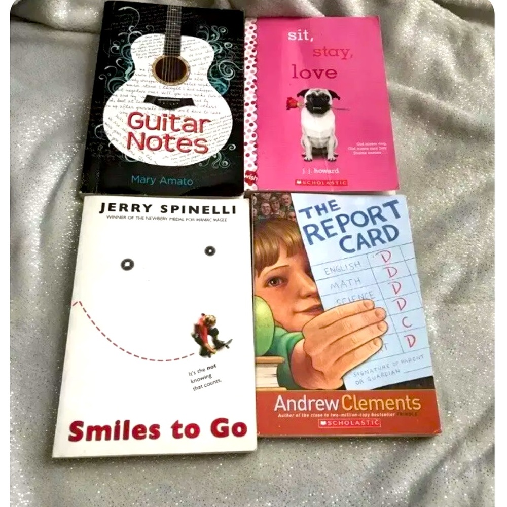 Chapter Books Bundle of 4